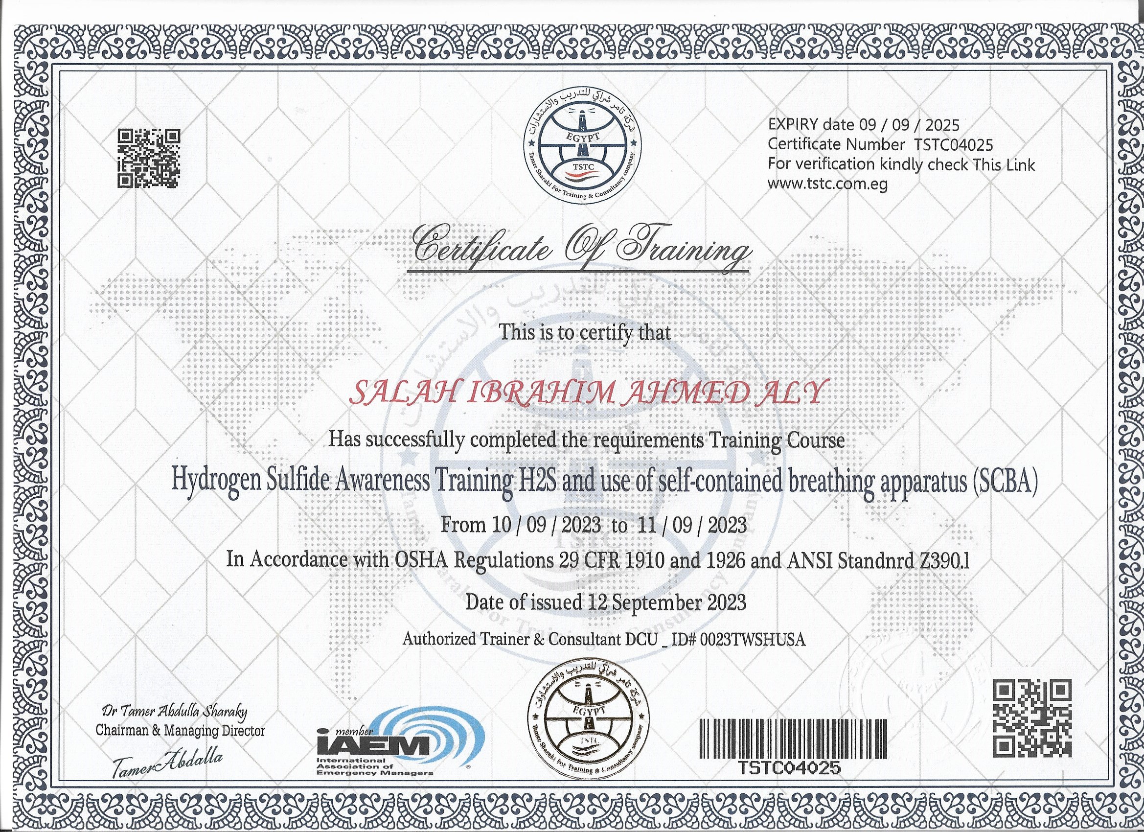 SALAH IBRAHIM AHMED ALY 