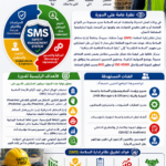 دورة نظم ادارة السلامة Safety Management System  SMS